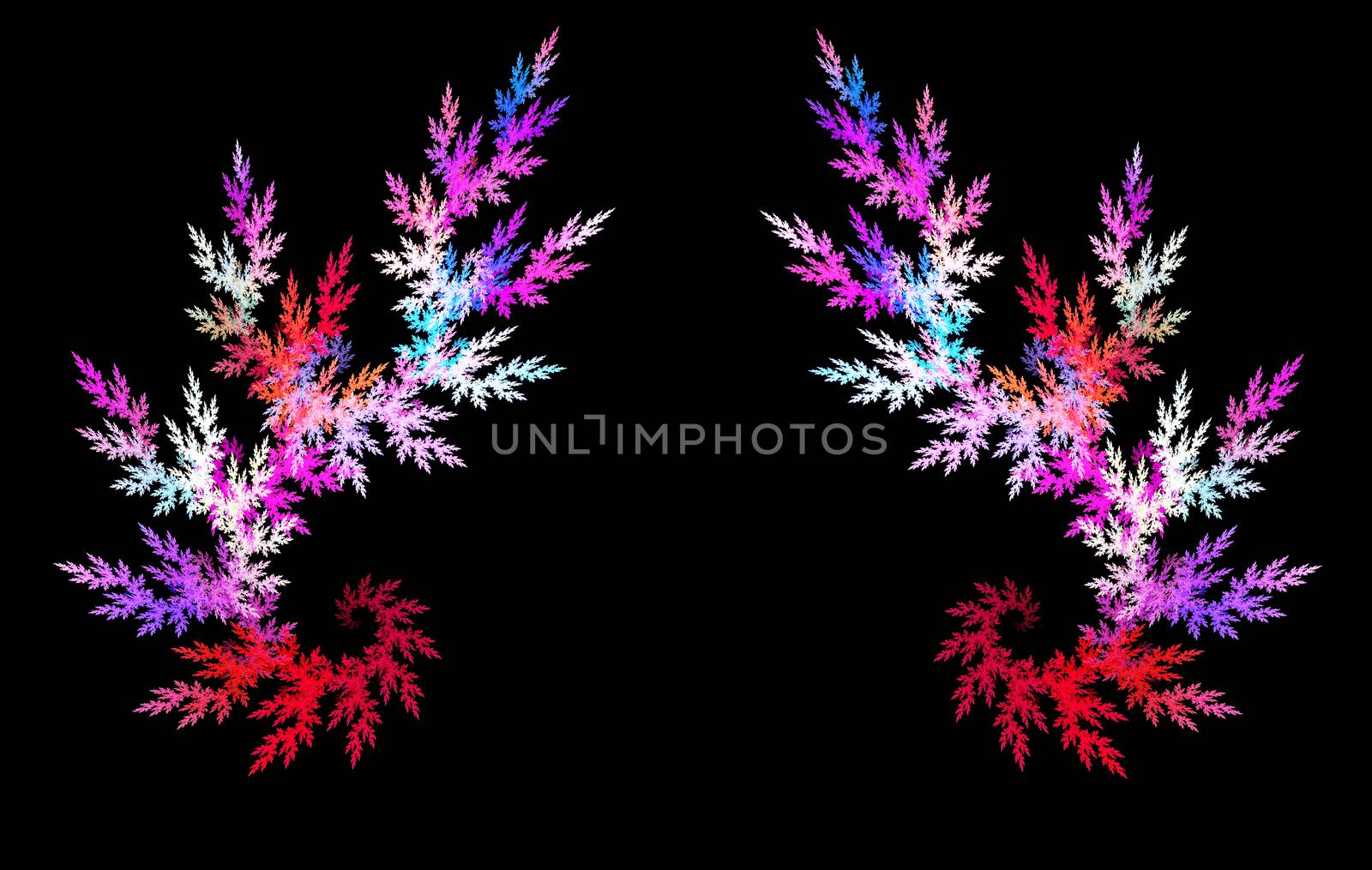 Multicolor fractal flower on black background. Computer generated graphics