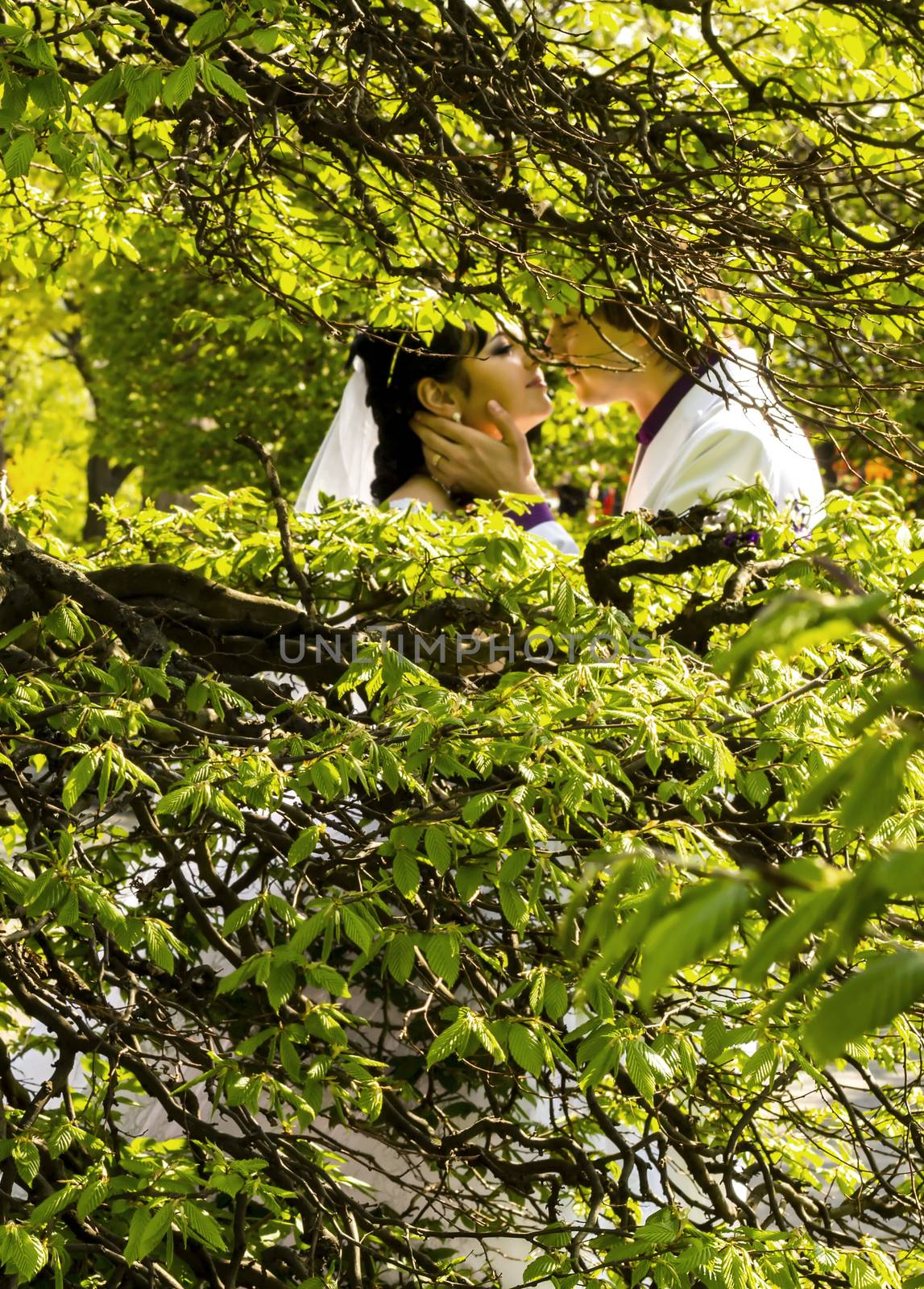 Romantic kiss bride and groom on wedding walk. For your commercial and editorial use.