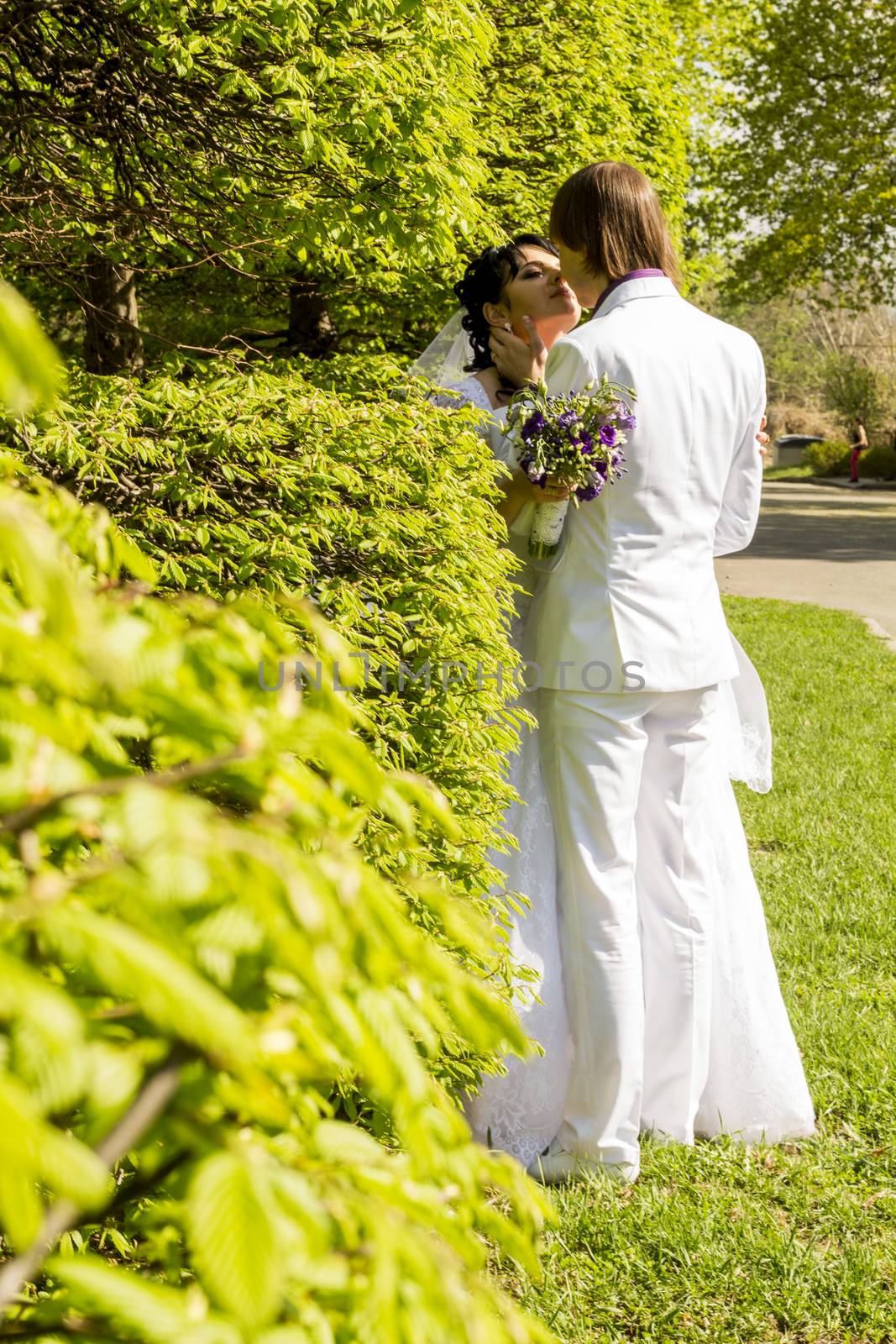 Romantic kiss bride and groom on wedding walk. For your commercial and editorial use.