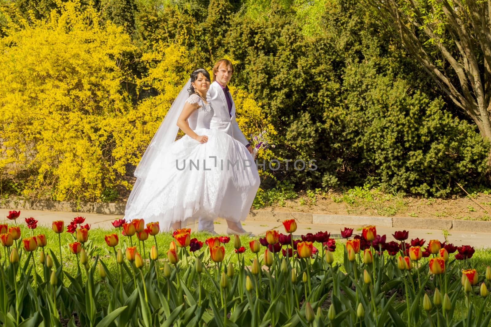 couple in love bride and groom together in wedding summer 