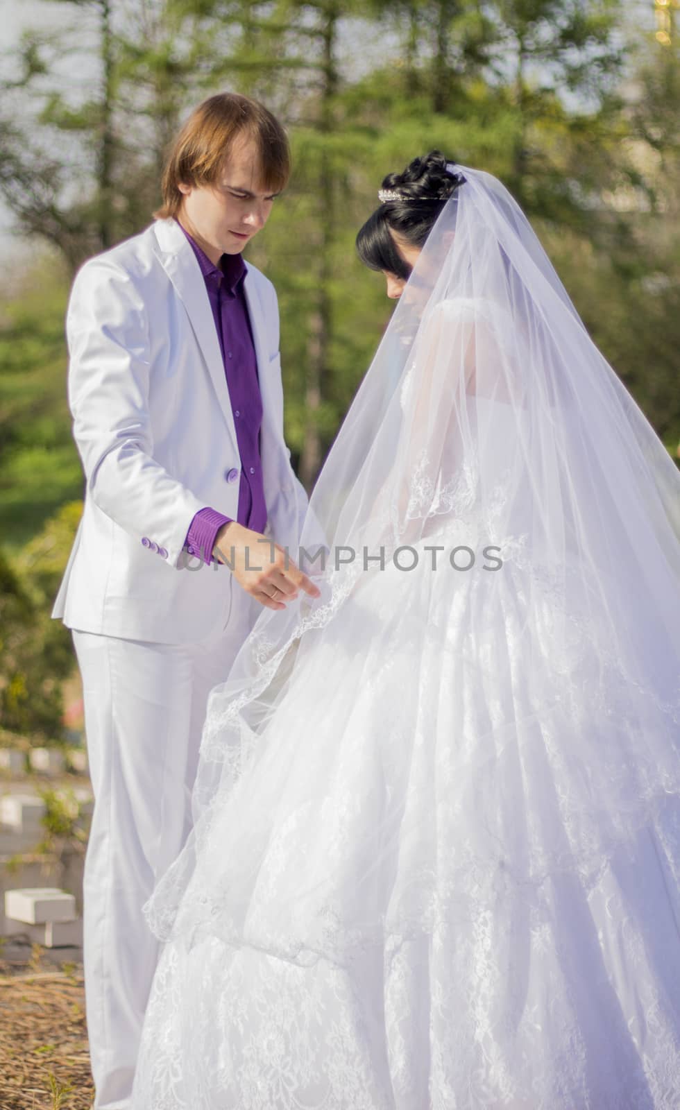 Elegant bride and groom posing together outdoors on a wedding da by serhii_lohvyniuk