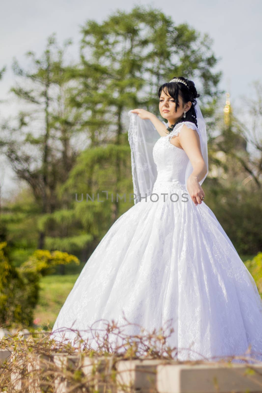 beautiful bride is standing in wedding dress  by serhii_lohvyniuk