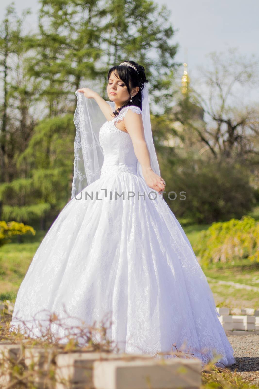 beautiful bride is standing in wedding dress  by serhii_lohvyniuk