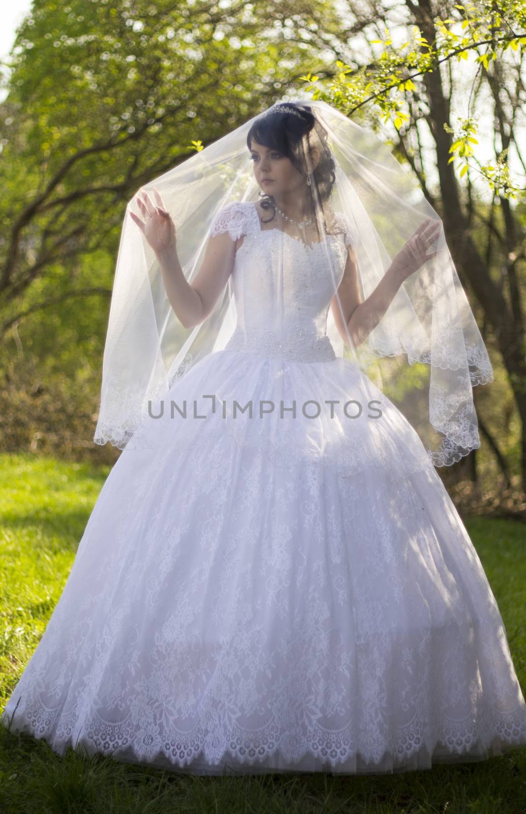 The bride is closed veil. For your commercial and editorial use.