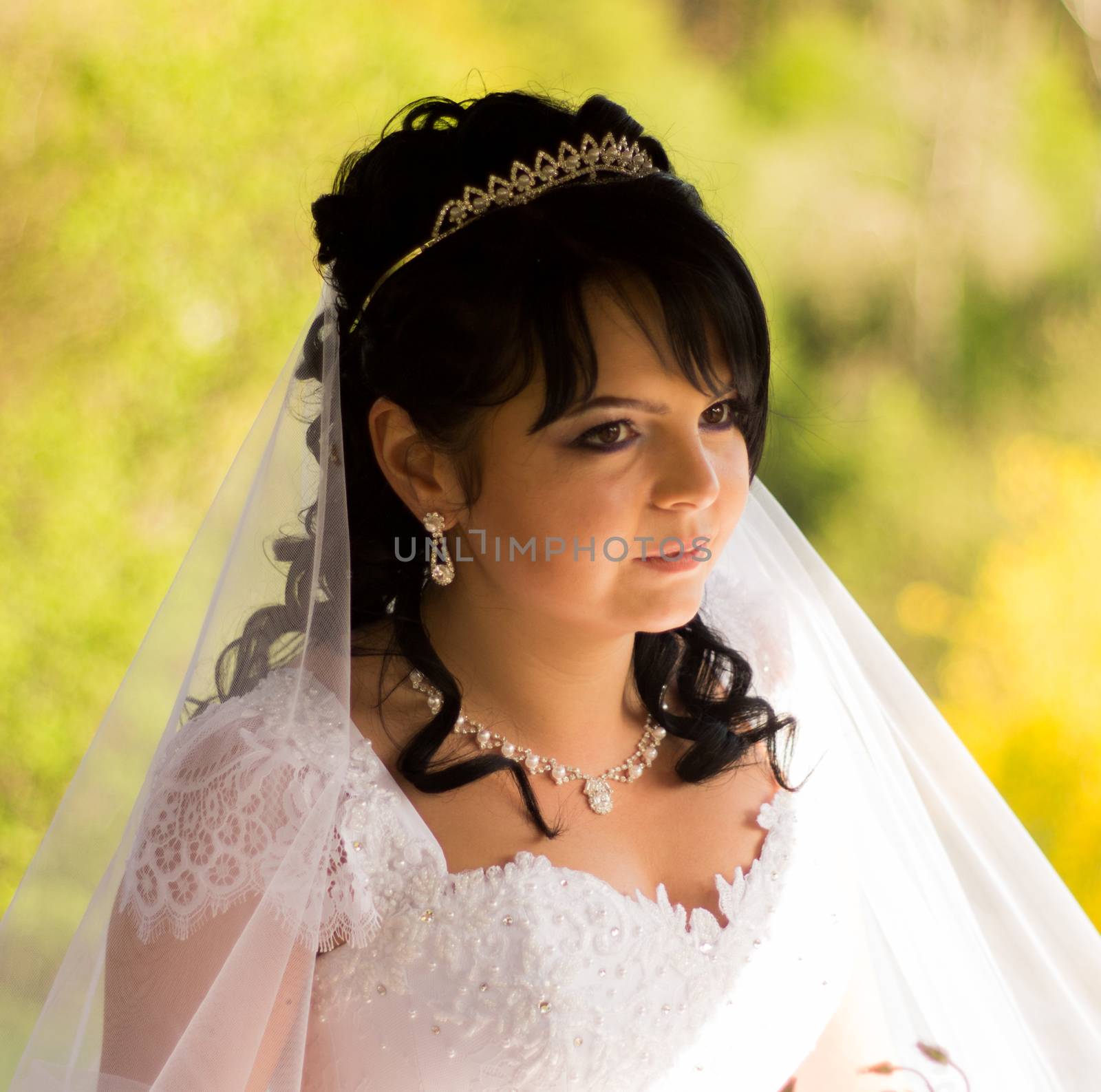 Beautiful bride posing in her wedding day by serhii_lohvyniuk