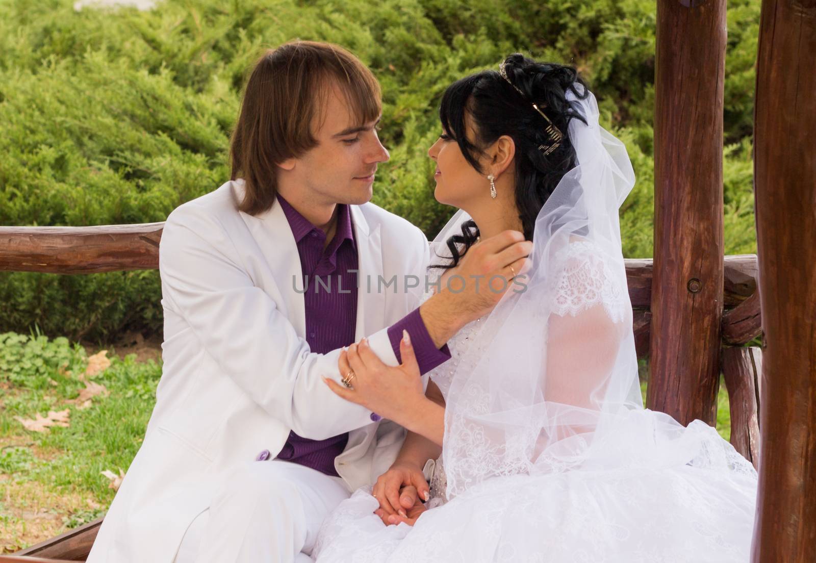 Couple love bride and groom posing sitting on wooden bench in by serhii_lohvyniuk