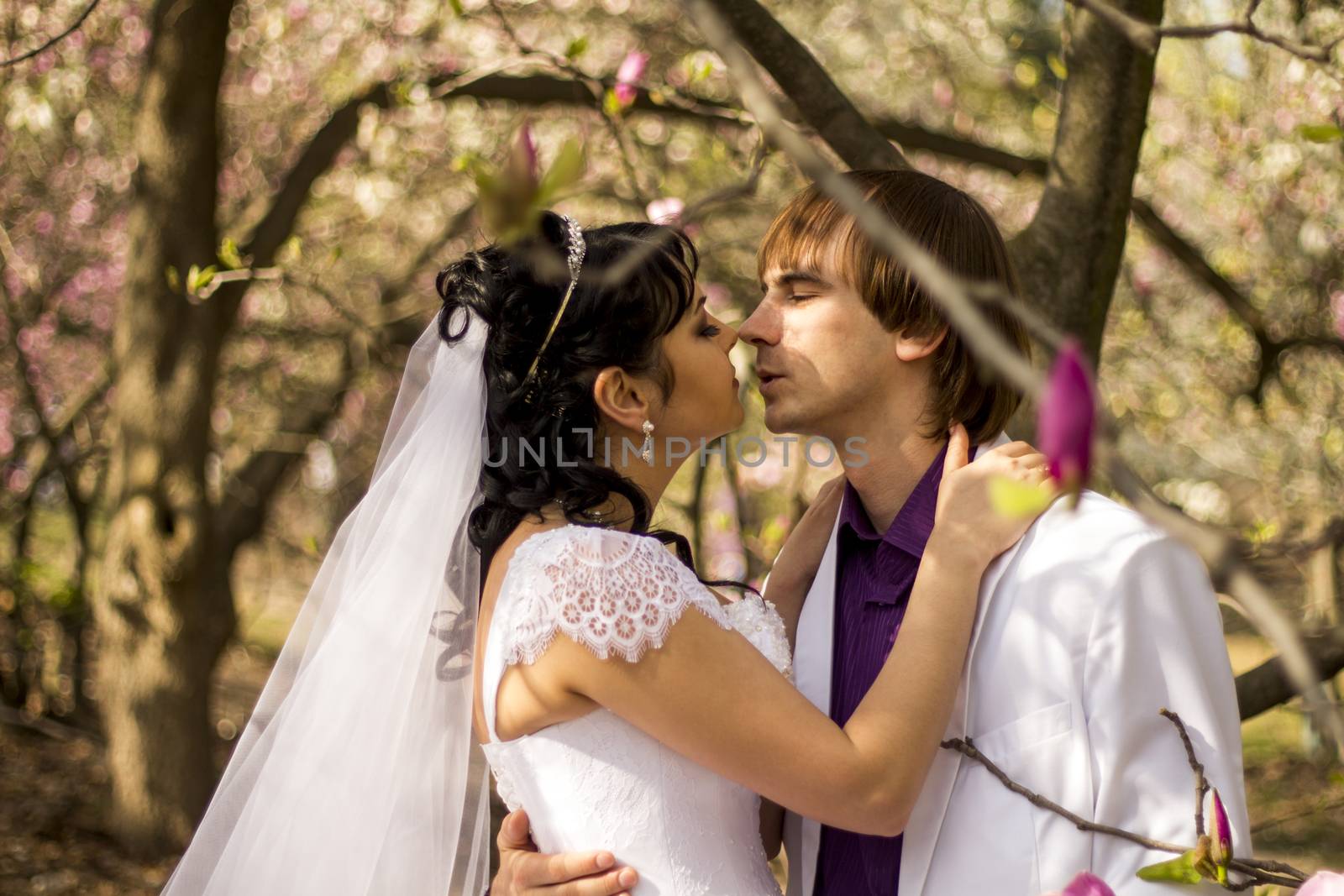 Newlyweds on nature background with blossoming magnolias.