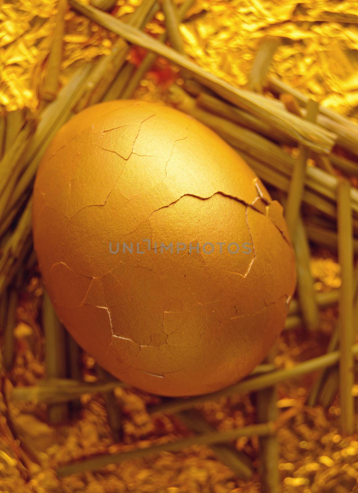 Gold nest egg about to hatch
