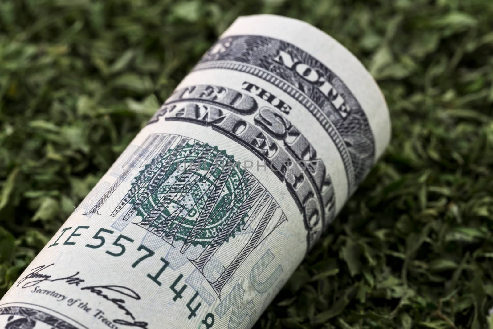 Close up of US currency on seasoning of dried, green parsley reflects successful investments in agriculture, spices and seasonings products, and food and restaurant industry. 