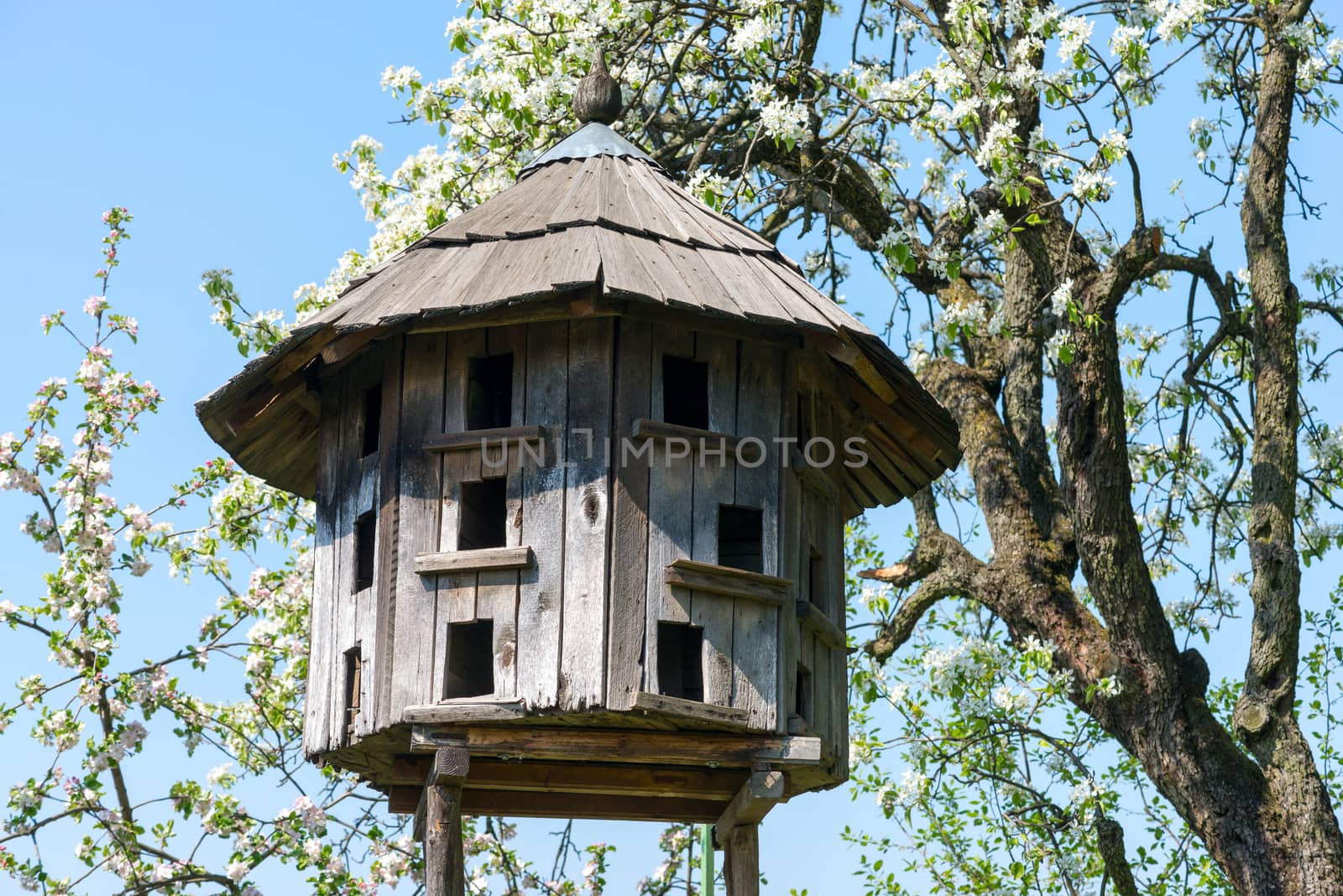 Old wooden dovecote. Museum Uzhgorod, Ukraine. by DNKSTUDIO