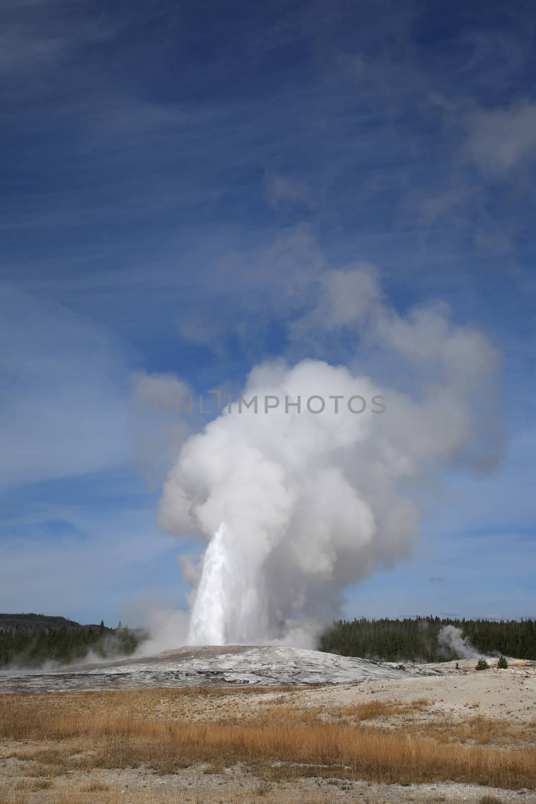 Old Faithful at peak of eruption at Yellowstone National Park in Wyoming.