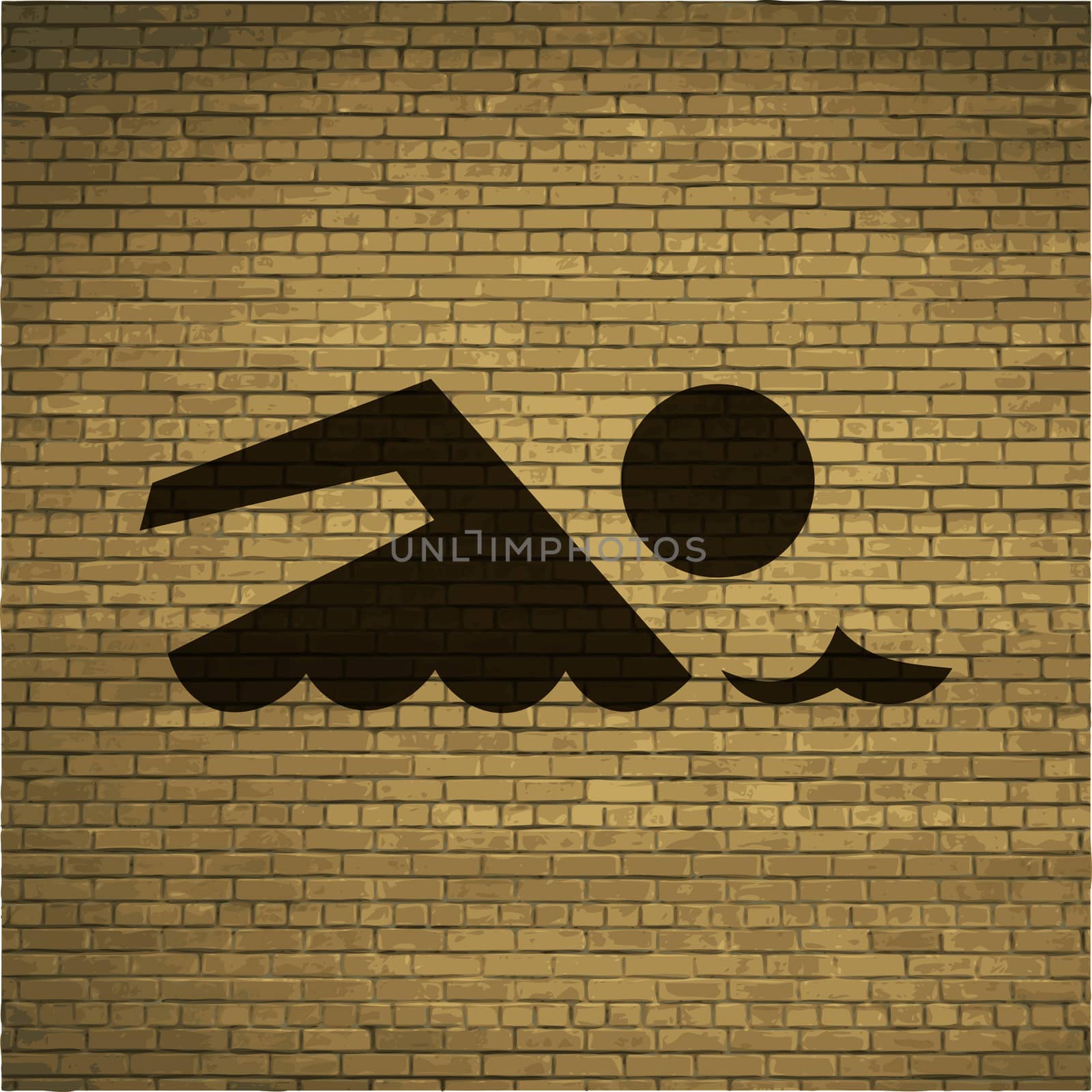 Swimming icon Flat with abstract background.