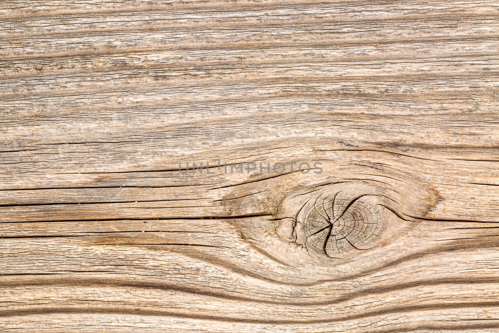 background texture of  grained and knotted cedar wood plank