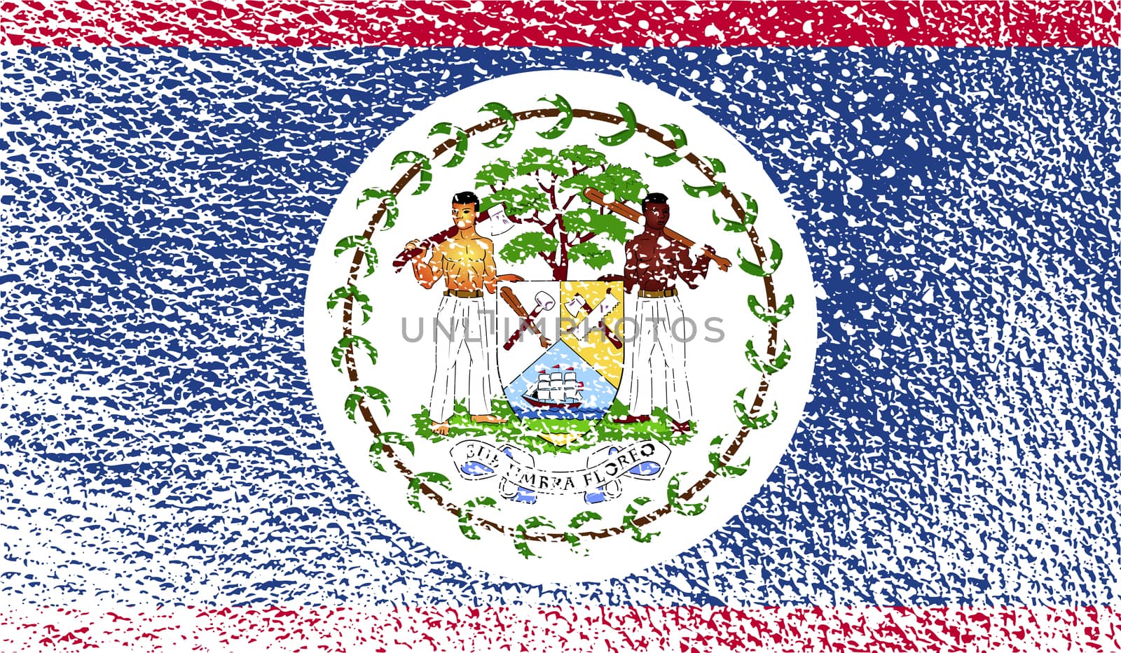 Flag of Belize with old texture.  illustration