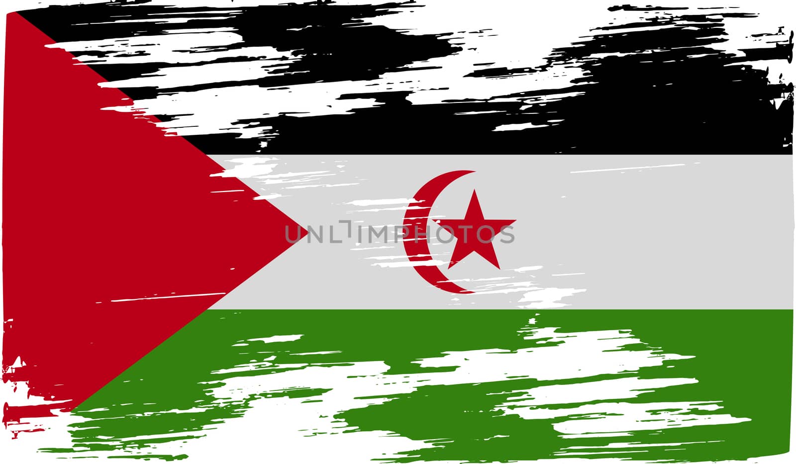 Flag of Western Sahara with old texture.  illustration