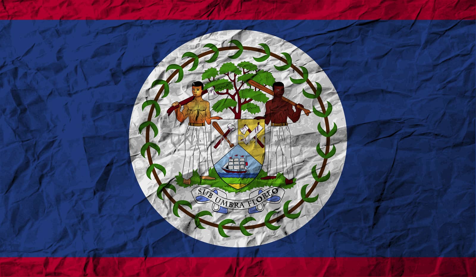 Flag of Belize with old texture.  illustration