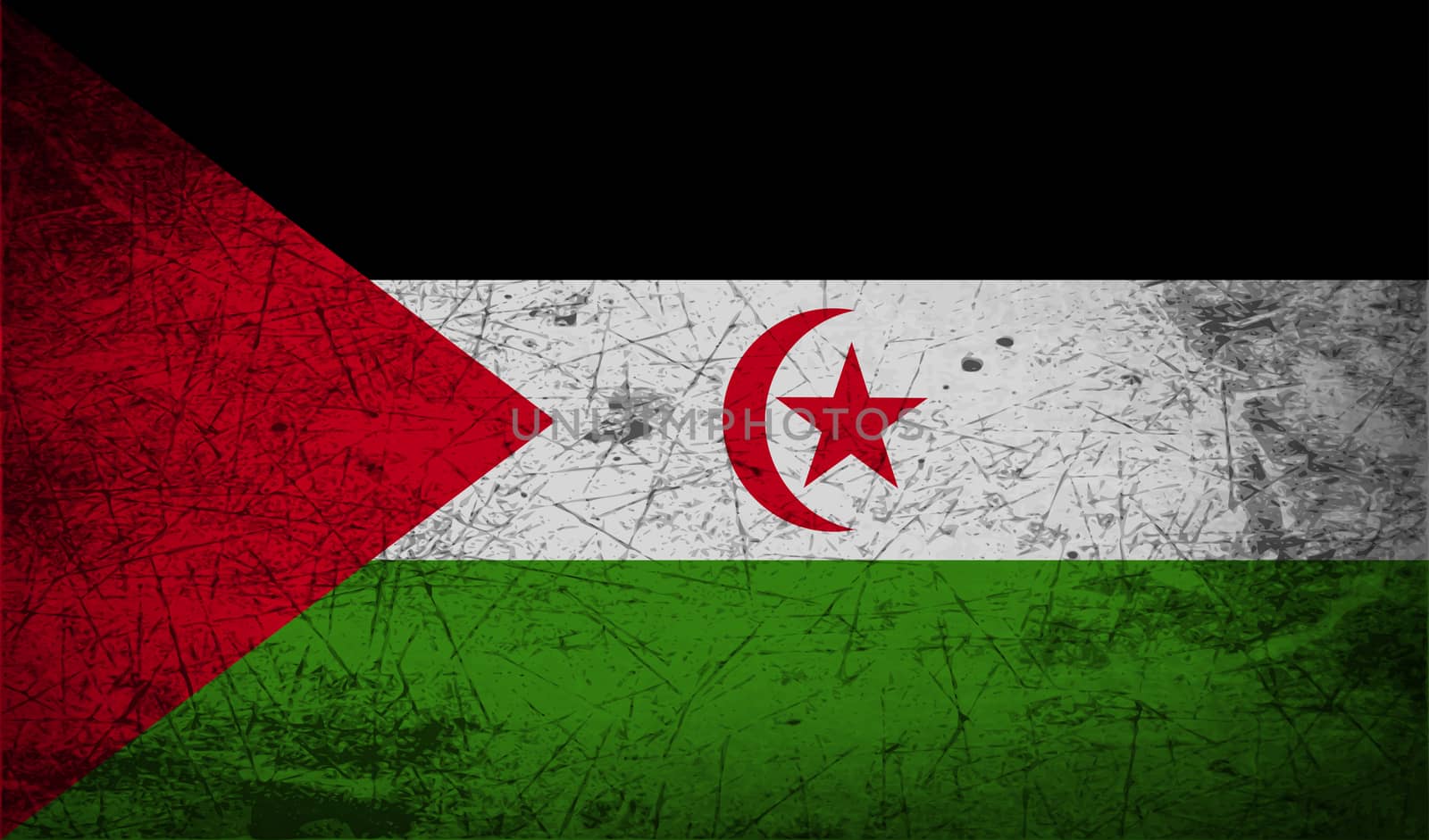 Flag of Western Sahara with old texture.  illustration