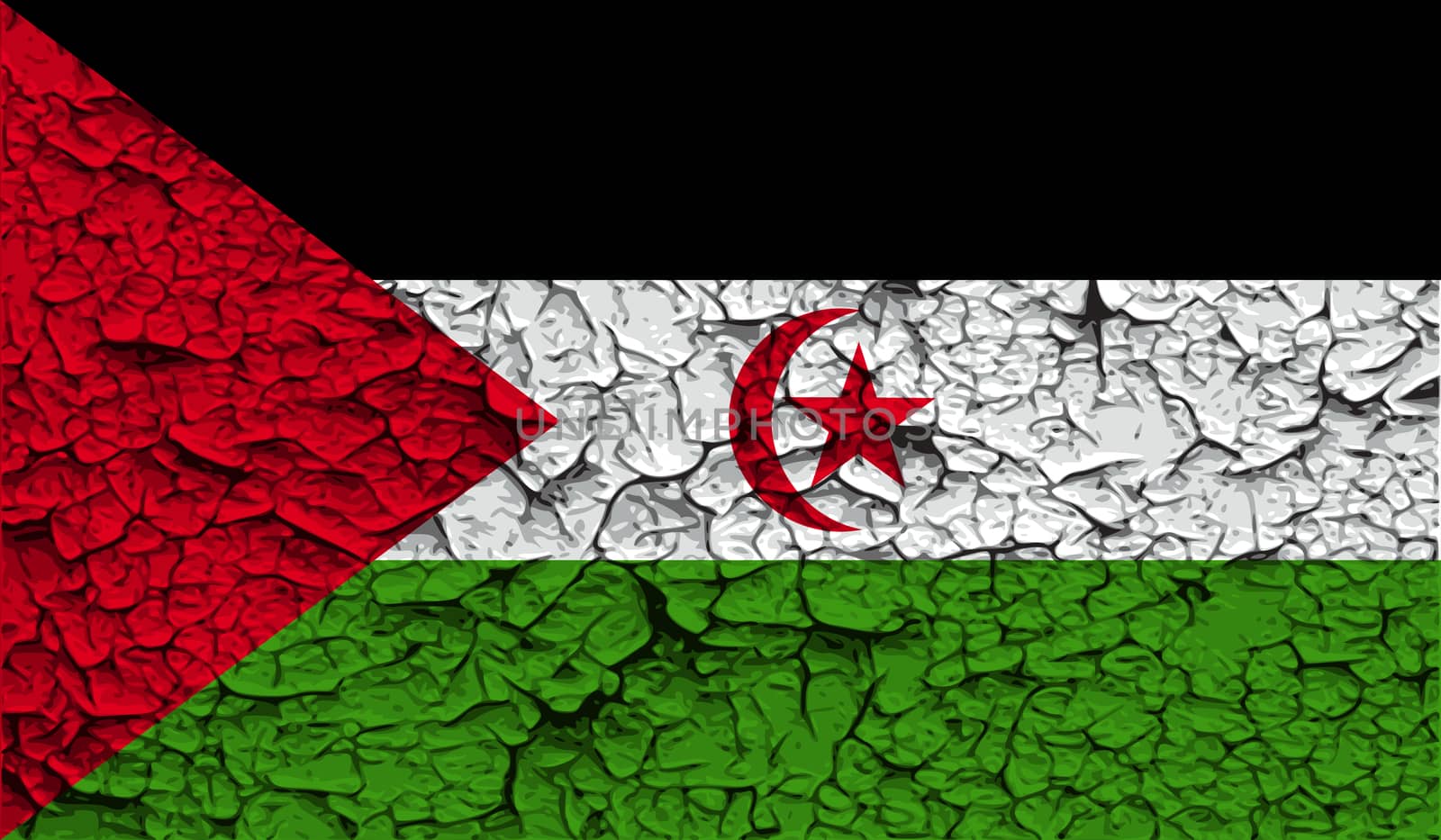 Flag of Western Sahara with old texture.  illustration