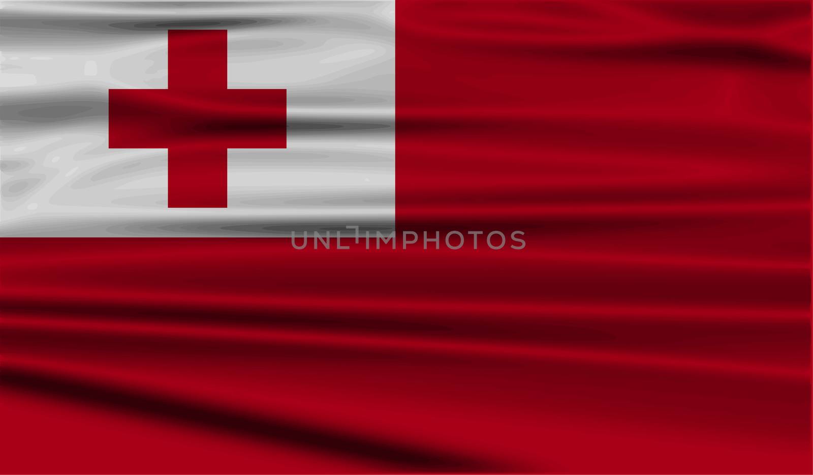 Flag of Tonga with old texture.  illustration