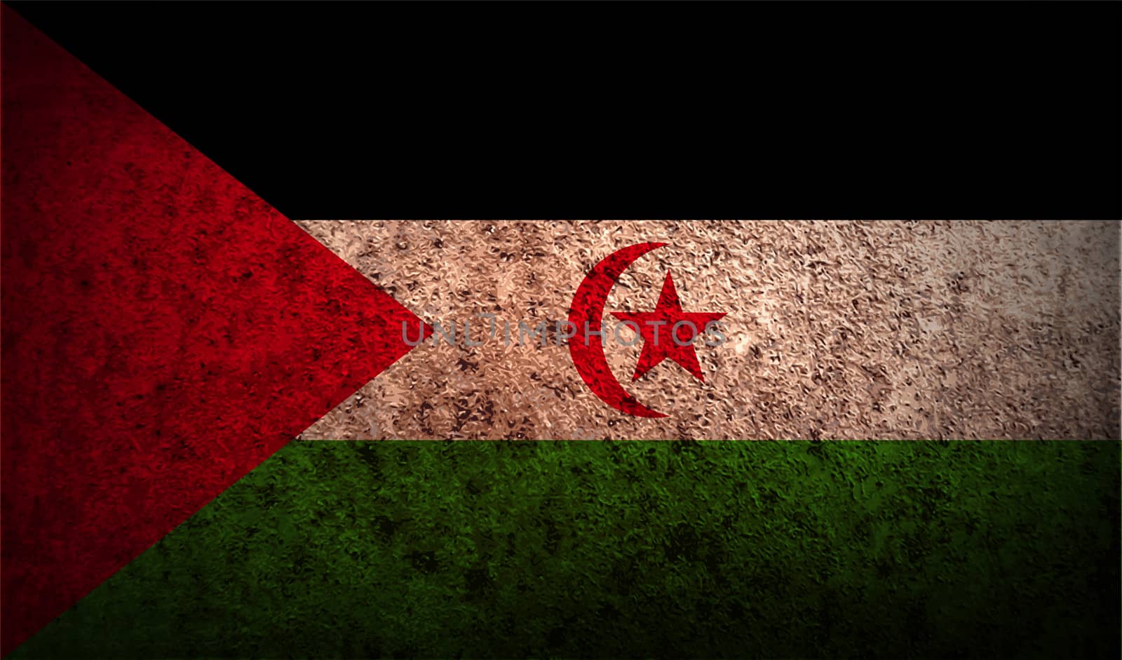 Flag of Western Sahara with old texture.  illustration