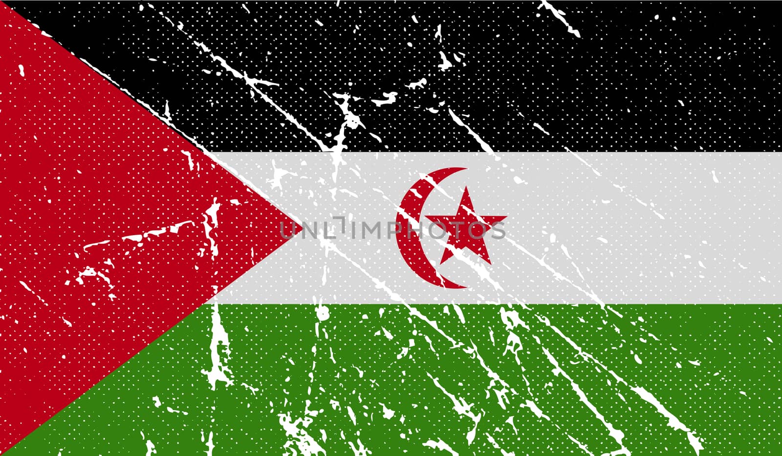 Flag of Western Sahara with old texture.  illustration