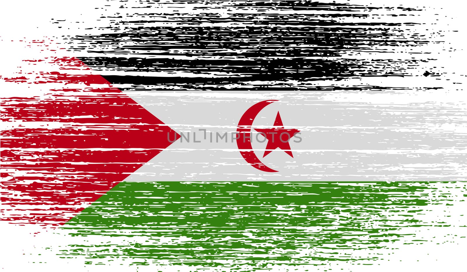 Flag of Western Sahara with old texture.  illustration