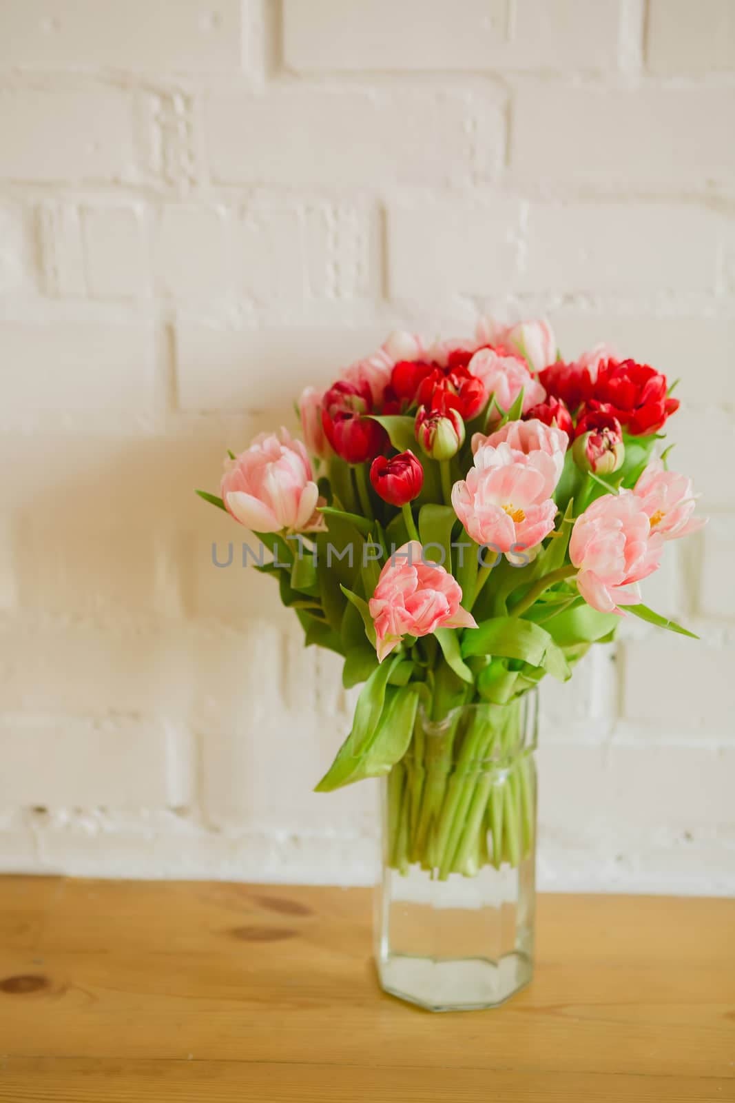 bouquet of tulips on a white background for advertising