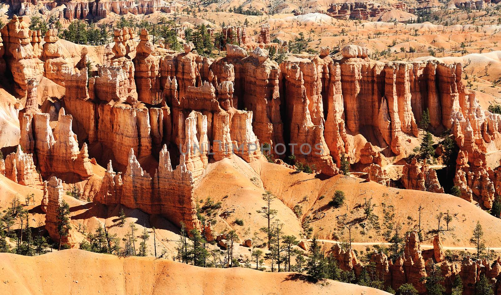 spectacular Hoodoo rock spires of Bryce Canyon, Utah, USA