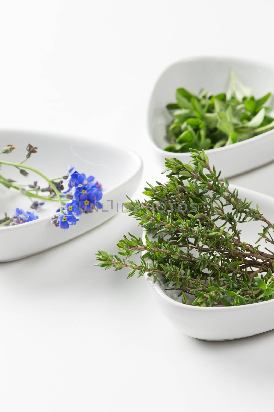 Assorted edible flowers and herbs in individual dishes with focus to springs of fresh rosemary , an aromatic pungent herb used in cooking to flavor meat dishes