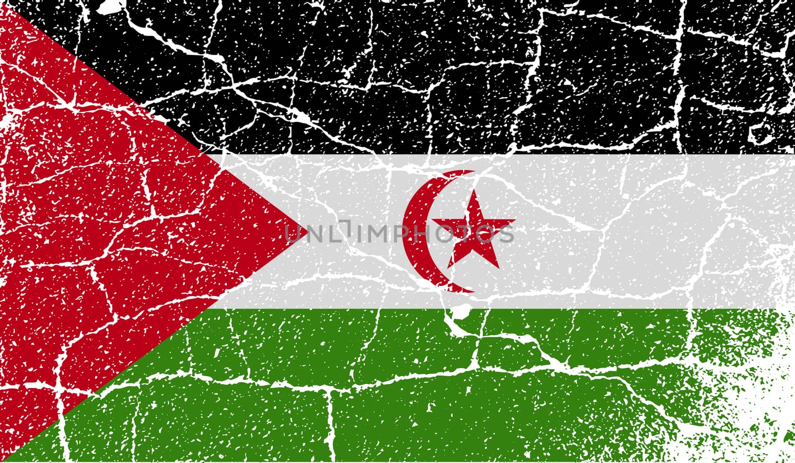 Flag of Western Sahara with old texture.  illustration