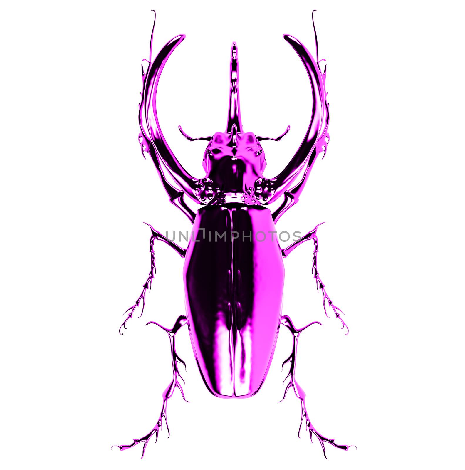 pink  rhinoceros beetle. 3D rendering