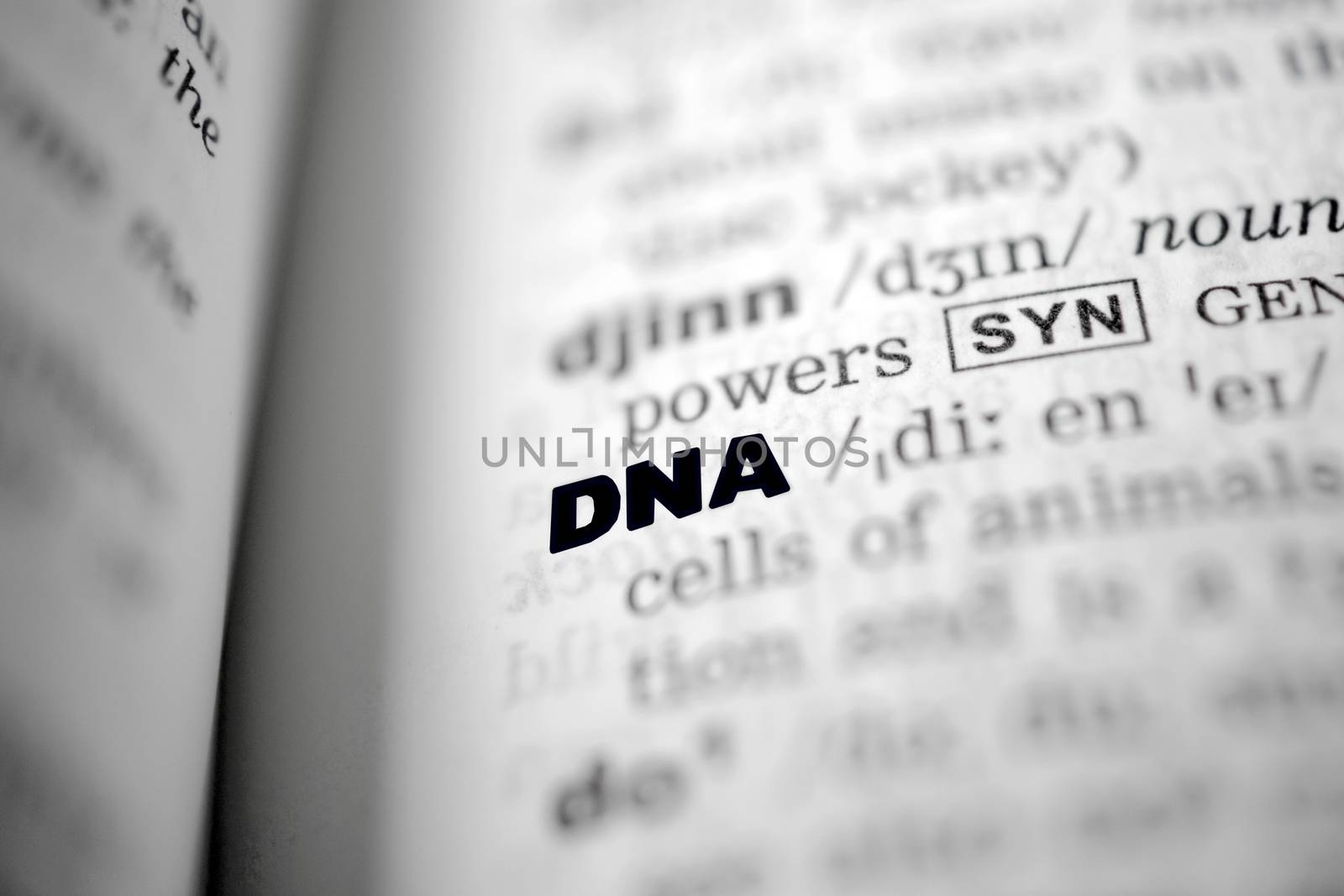 Closeup page with text DNA