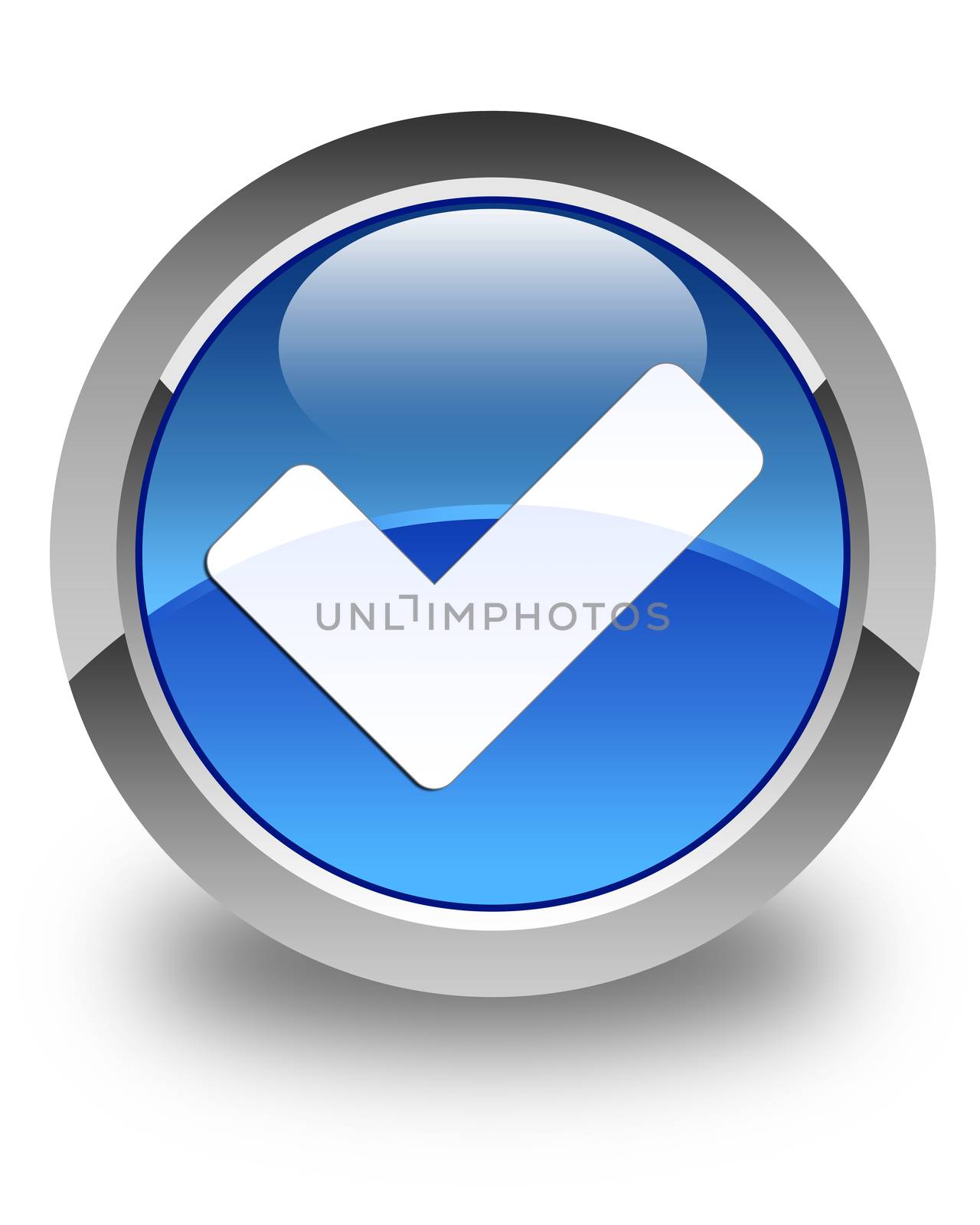 Validate icon glossy blue round button