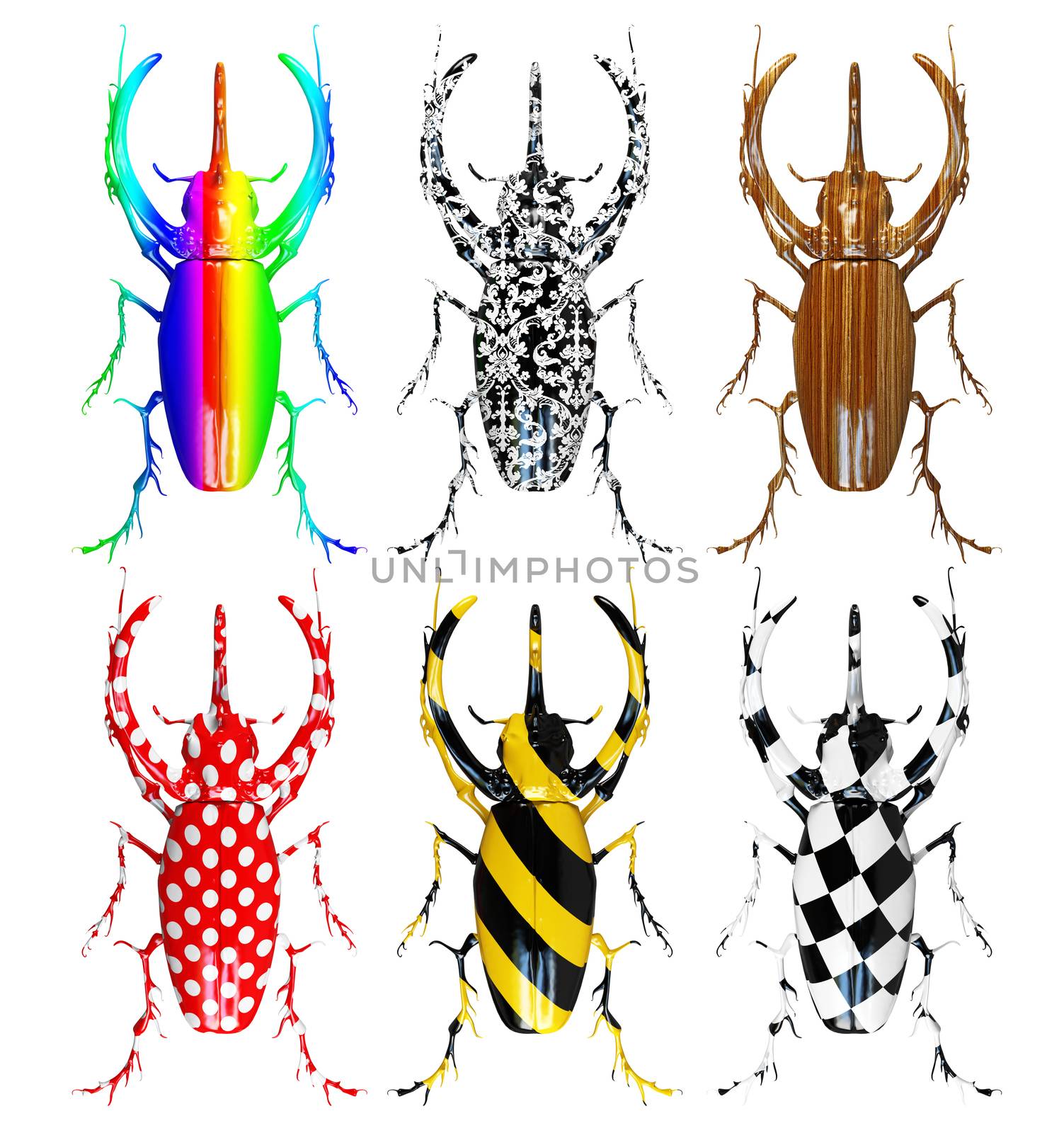 set of different pattern colored beetles