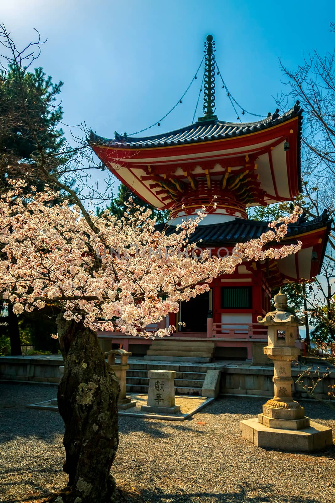 Japanese temple in Kyoto