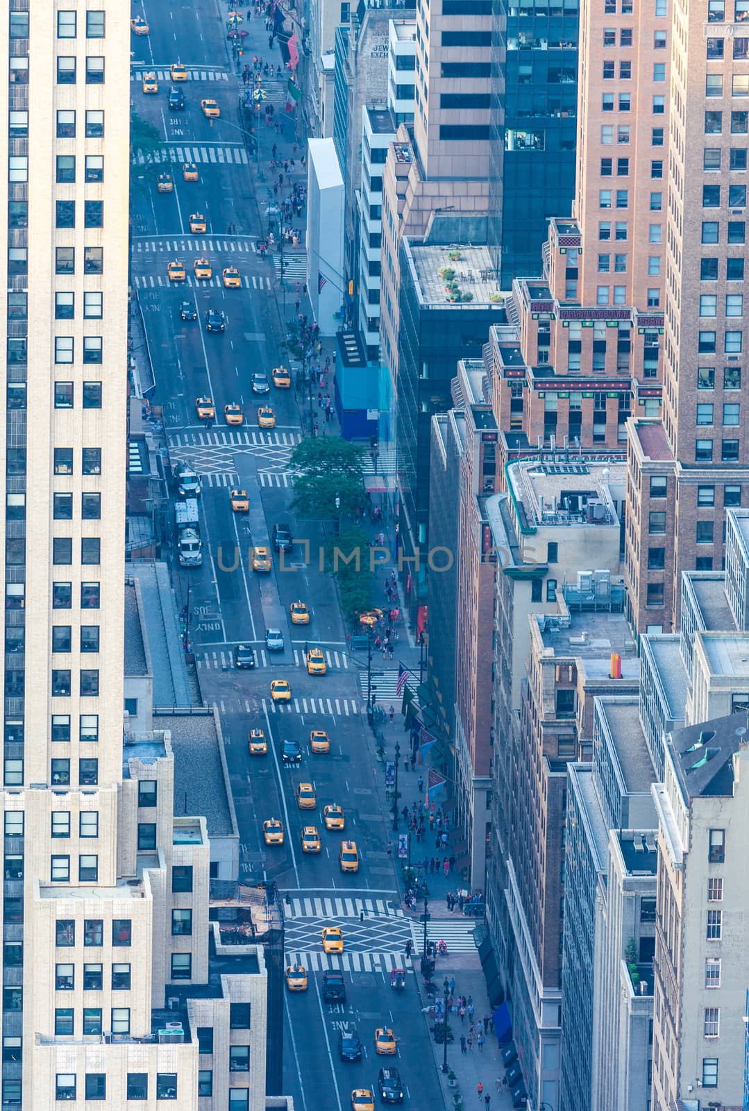 Avenue of New York, aerial view by jovannig