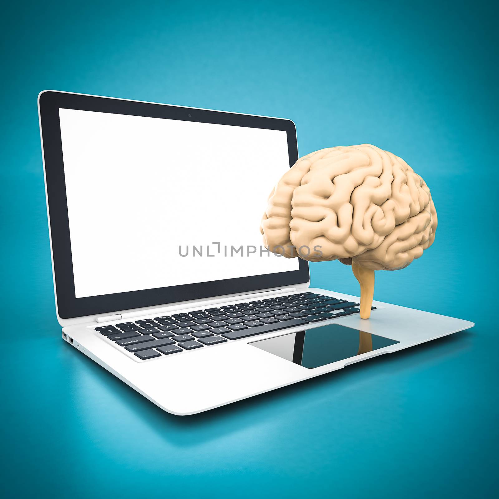 model of the brain and white laptop on a blue background