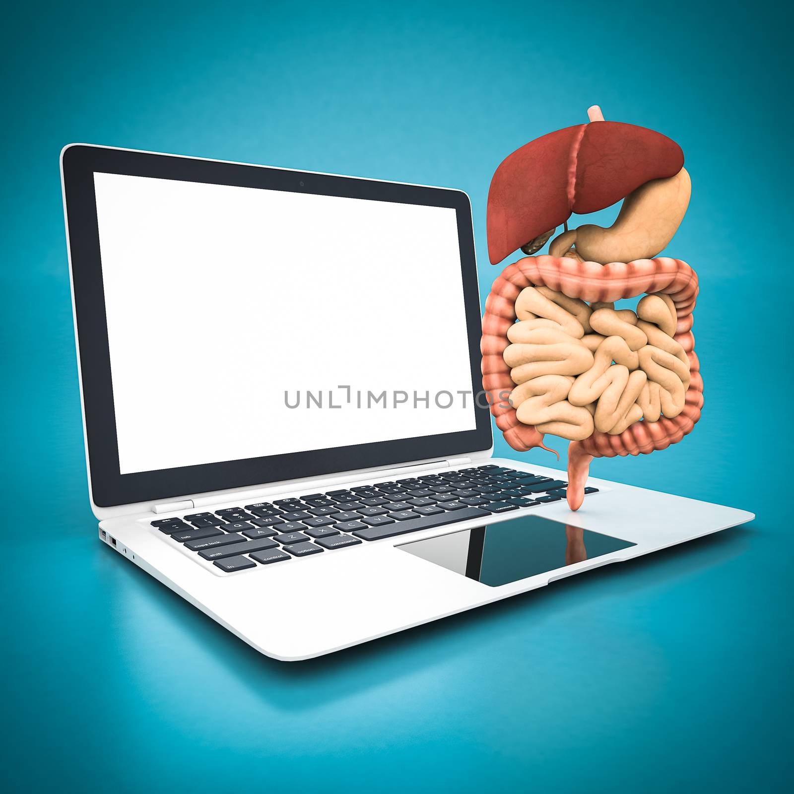 model of the digestive system and white laptop on a blue background
