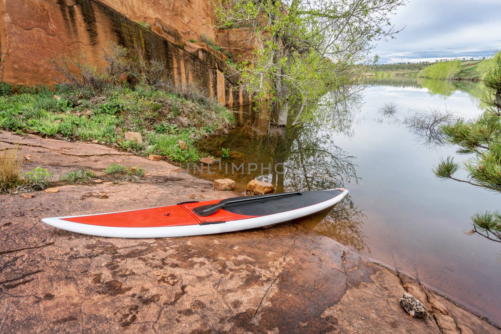 stand up paddleborad on lake shore by PixelsAway