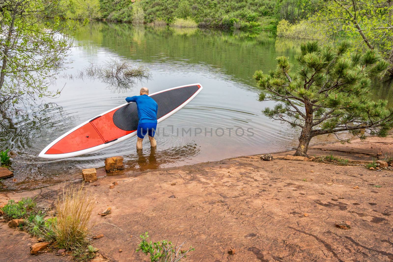 senior paddler launching  red SUP paddleboard on a rocky shore of a lake - Horsetooth Reservoir, Fort Collins, Colorado