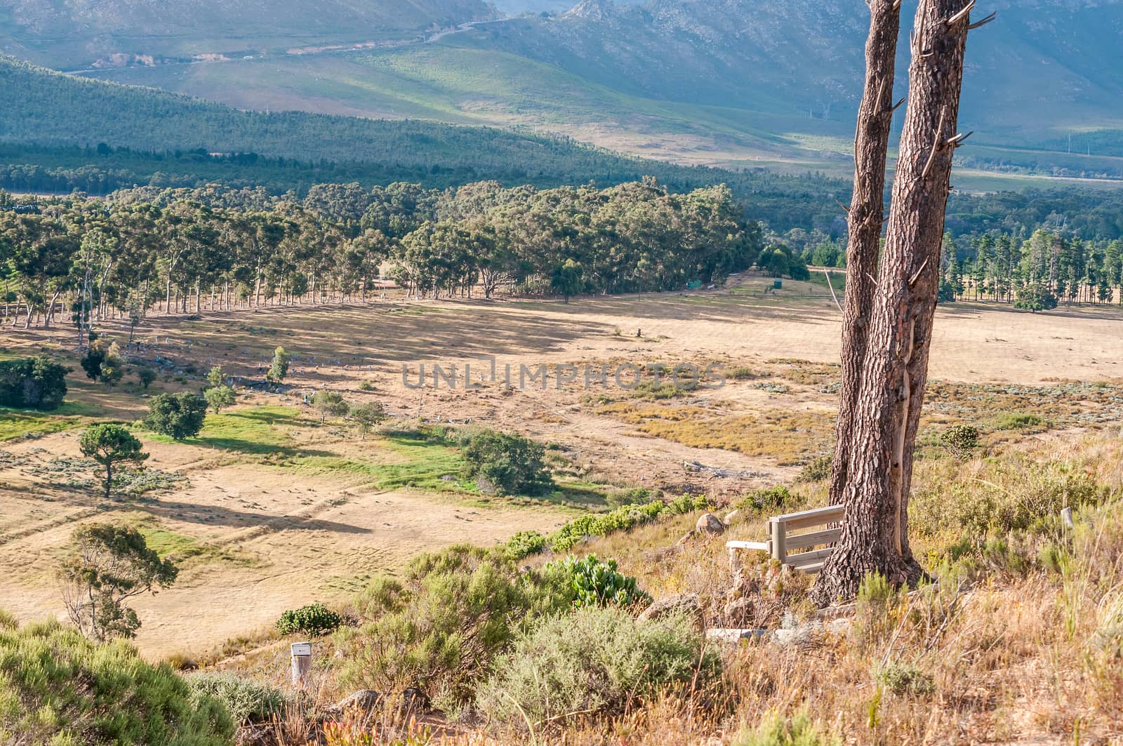 View of the wildlife reserve on Wedderville Estate with the Sir Lowrys Pass in the back