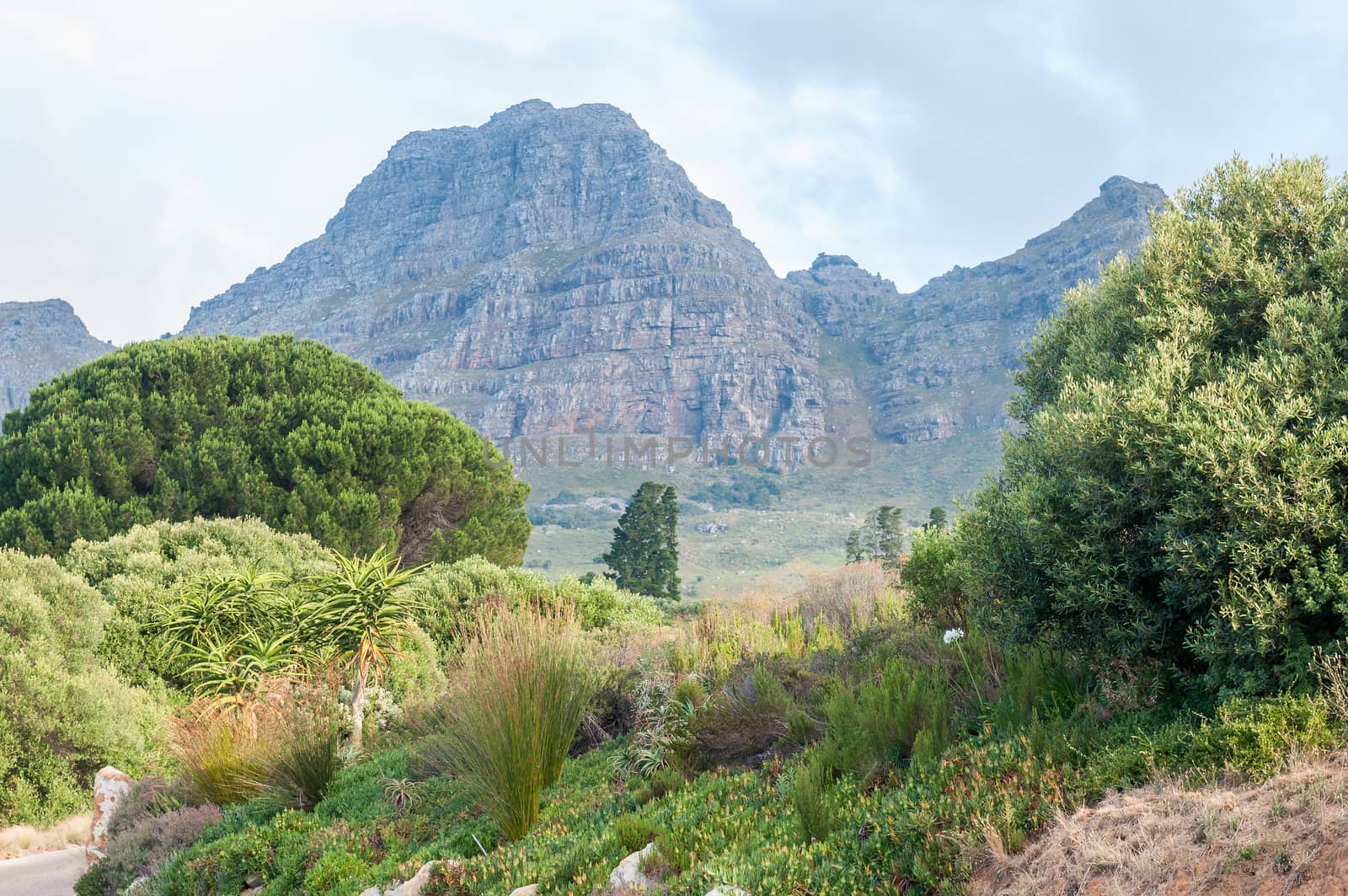 View of the farm Hidden Valley with the Helderberg (Clear Mountain) in the back