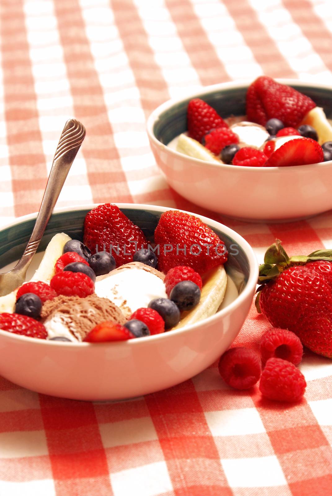 A bowl of delicious fresh fruit and neapolitan ice cream served as a goumet dessert after a hearty meal.