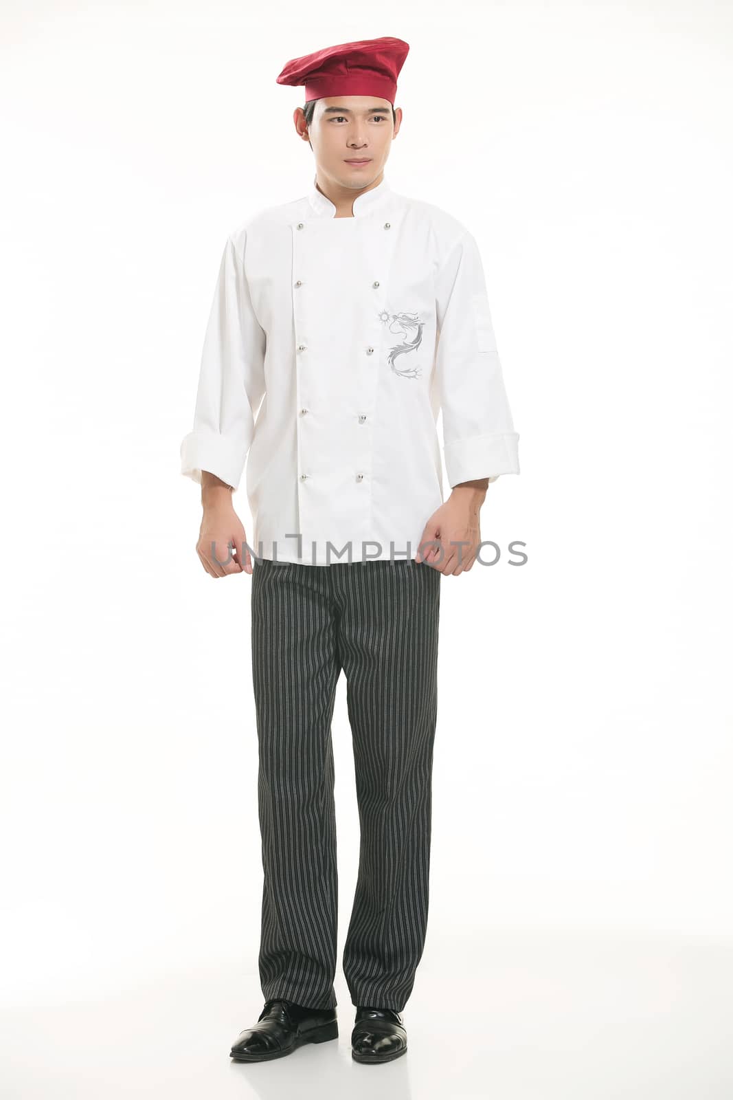 Wearing all kinds of clothing chef dietitian in front of white background
