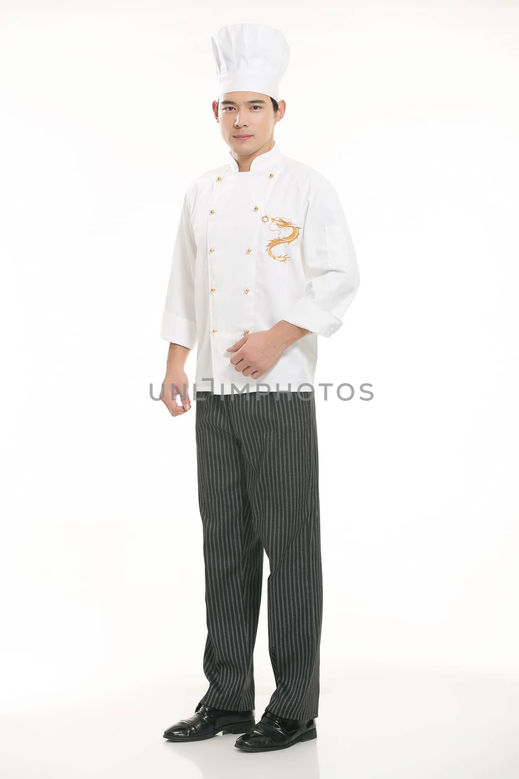 Wearing all kinds of clothing chef dietitian in front of white background