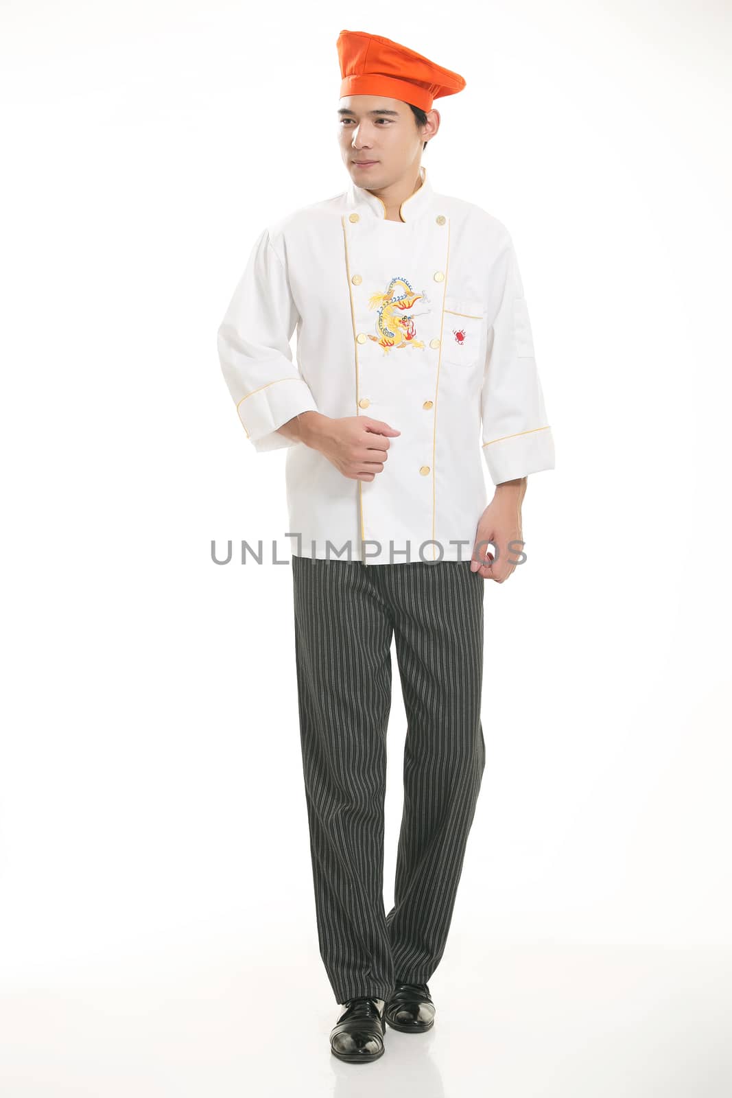 Wearing all kinds of clothing chef dietitian in front of white background