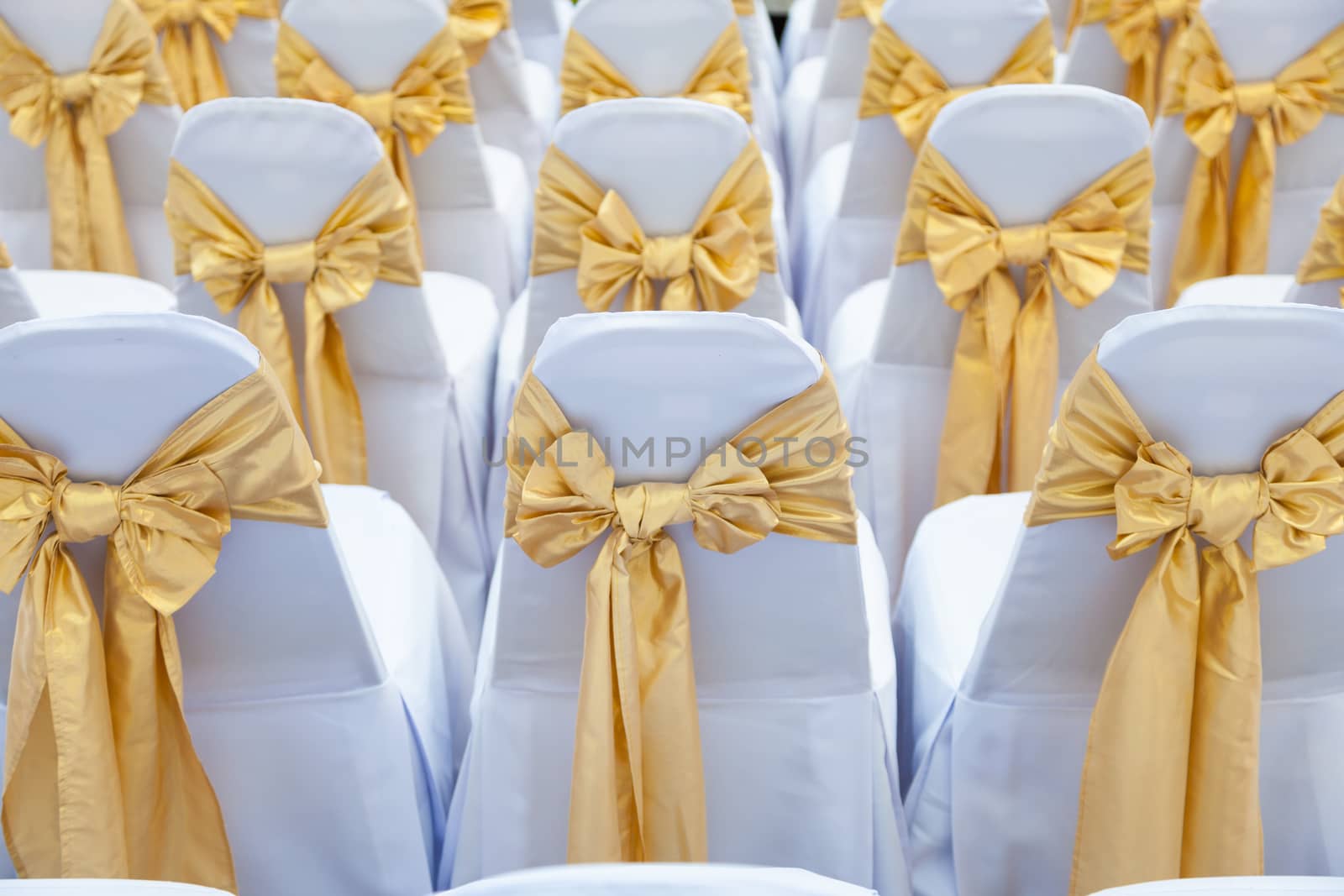 Wedding chairs inside by a454