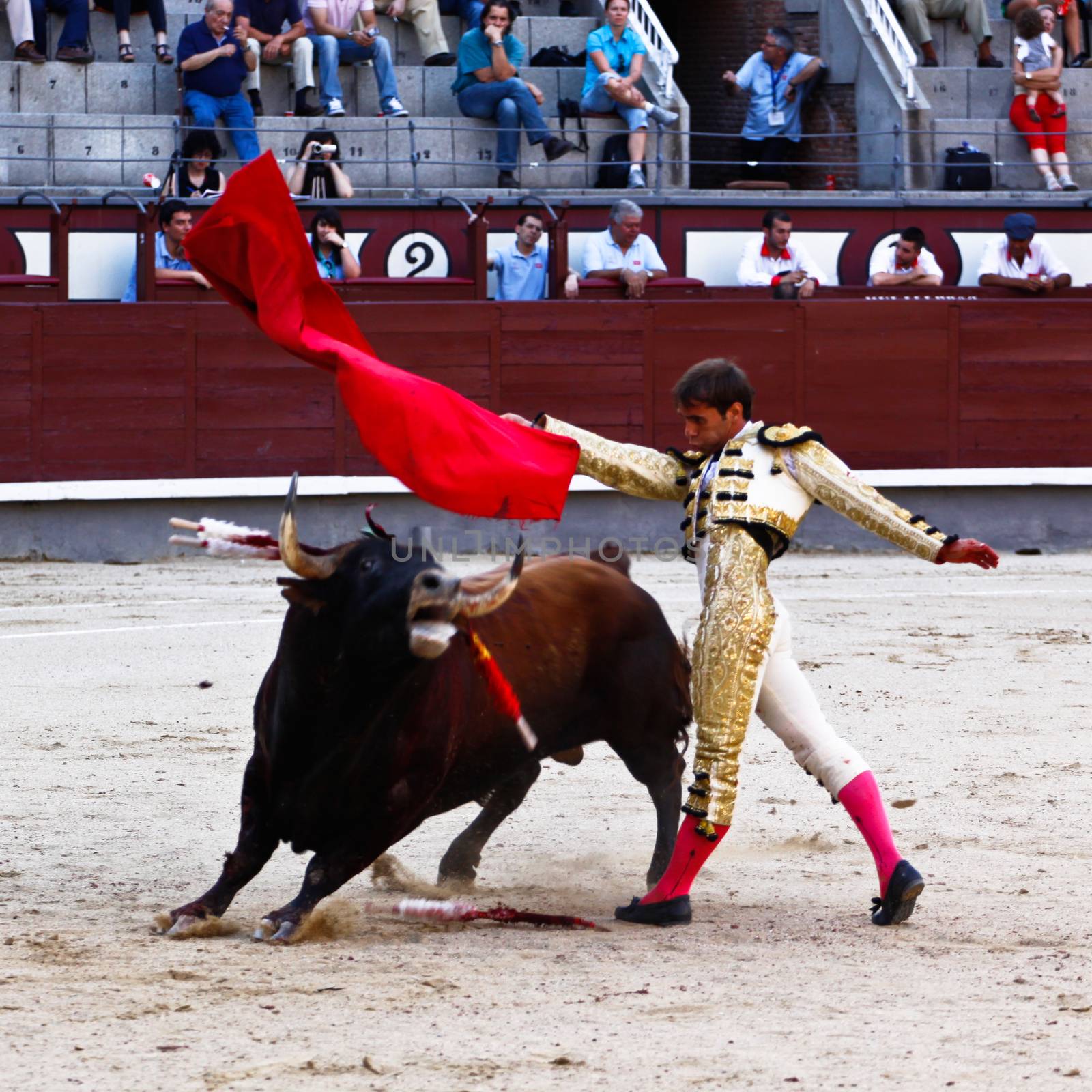 Madrid, Spain - June 25, 2011: Novilladas in Las Ventas. Novillero: Jesus Fernandez. Bulfighting has been prohibited in Catalunia since 2011 for animal torturing. June 25, 2011 in Madrid, Spain.