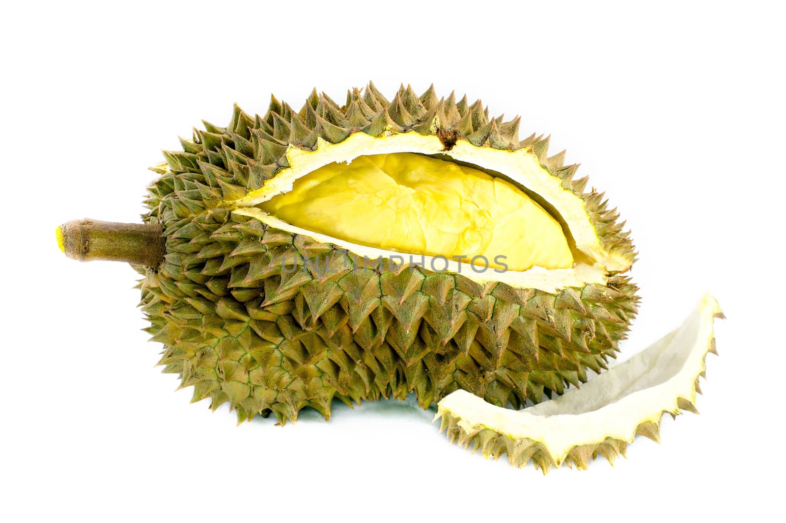 King of fruits, durian on white background