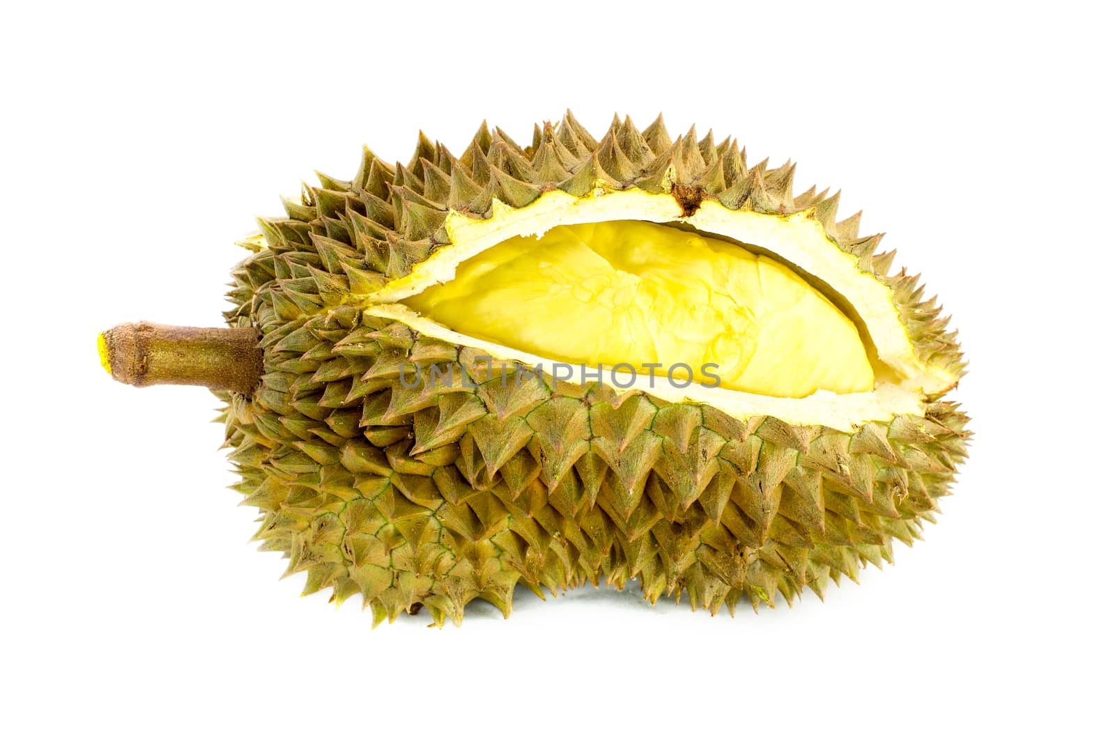 King of fruits, durian on white background